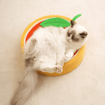 Griffoir Lit pour Chats